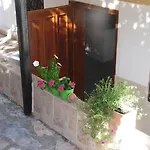 Pasha