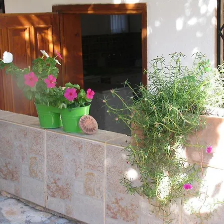 Pasha * Kalkan